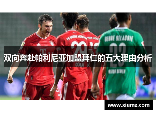 双向奔赴帕利尼亚加盟拜仁的五大理由分析