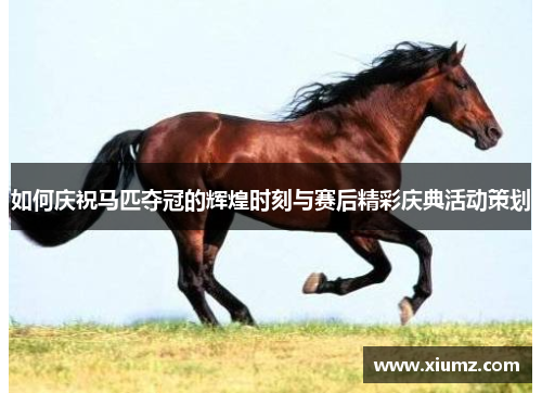 如何庆祝马匹夺冠的辉煌时刻与赛后精彩庆典活动策划